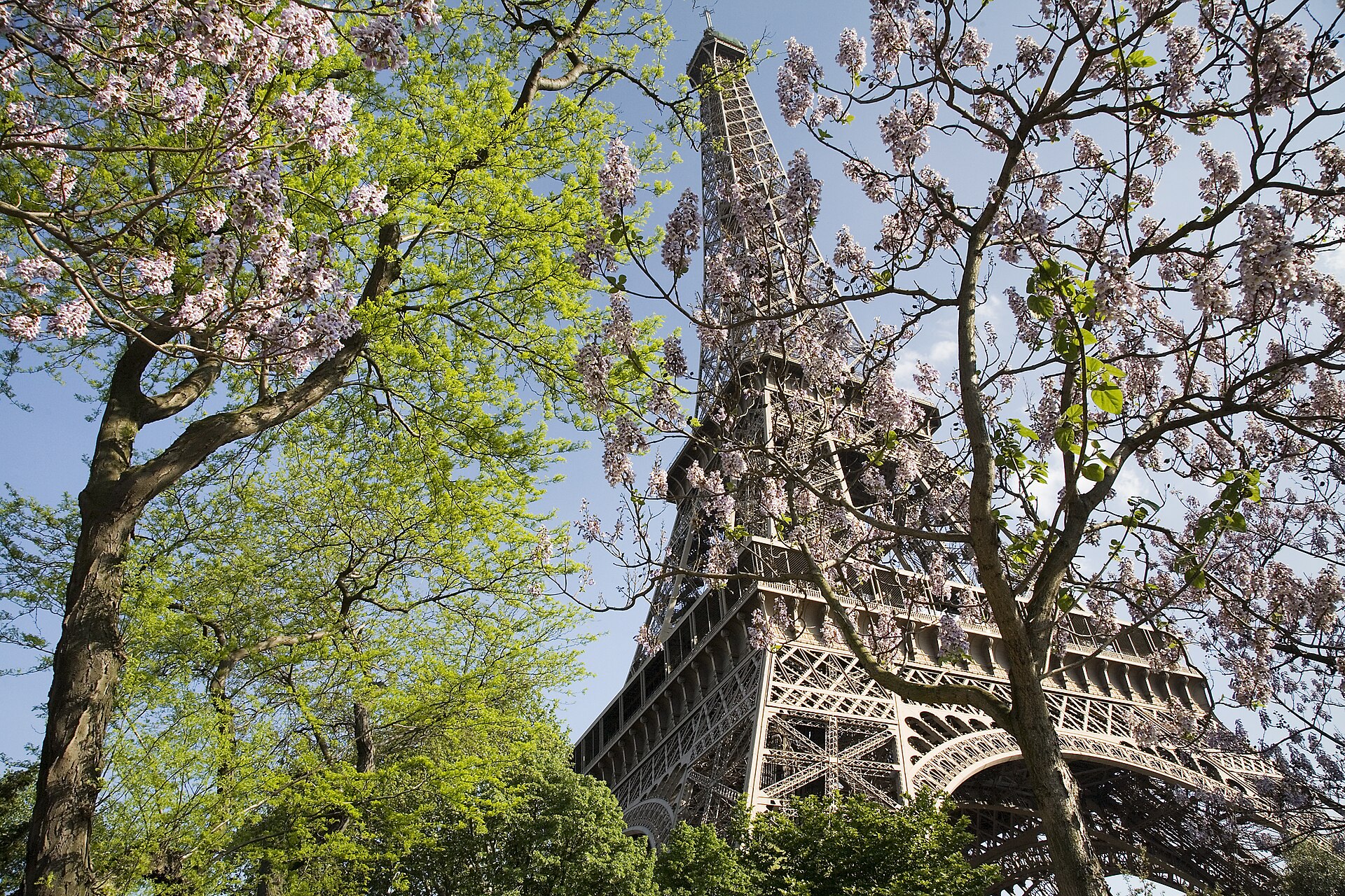 Paris Balayı Turu